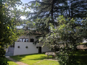 Cvijićeva 1